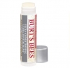Burts Bees -  Ultra pflegender,  feuchtigkeitsspendender Lippenbalsam mit Kokumbutter